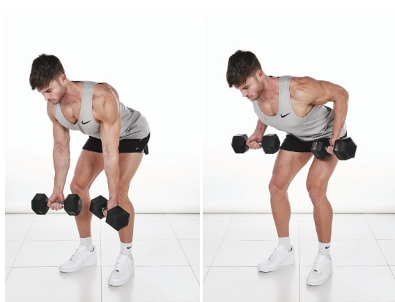 man demonstrates Dumbbell Reverse Bent-Over Row; bent at the hips with slightly bent knees, he holds a dumbbell in each hand. then, he raises each dumbbell towards his body, keeping his elbows tucked in, before lowering and repeating