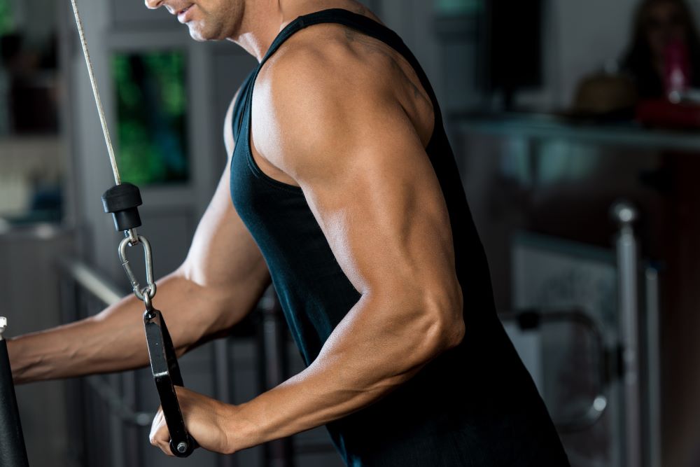 Why do I have triceps bigger than biceps? - FitBodii-Home Fitness - Expert  Advice!
