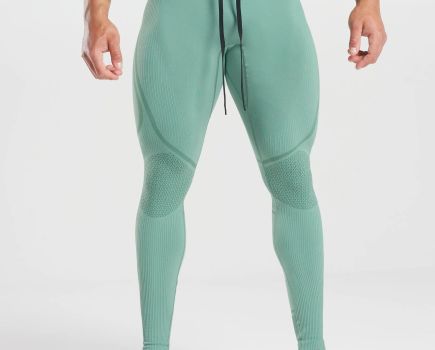 Gymshark 315 seamless compression tights