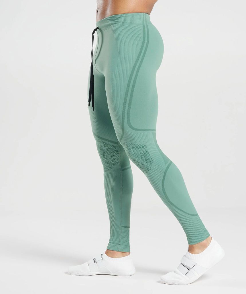 Gymshark 315 seamless tights - side profile