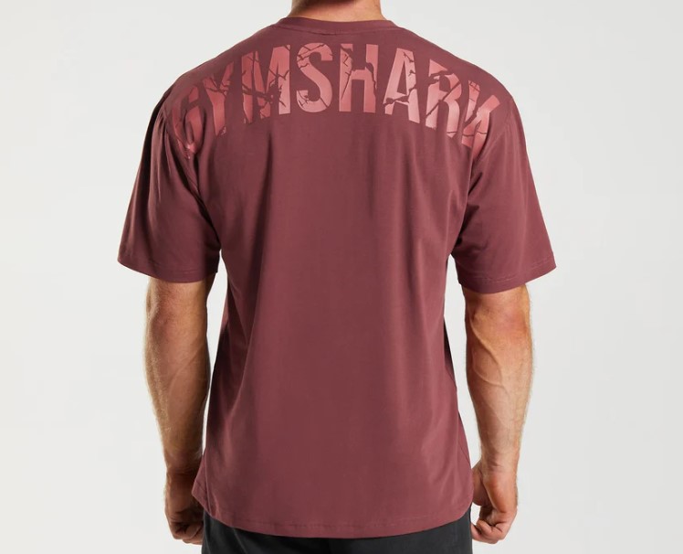 Product shot of upper torso of a man wearing Gymshark's Power T-Shirt