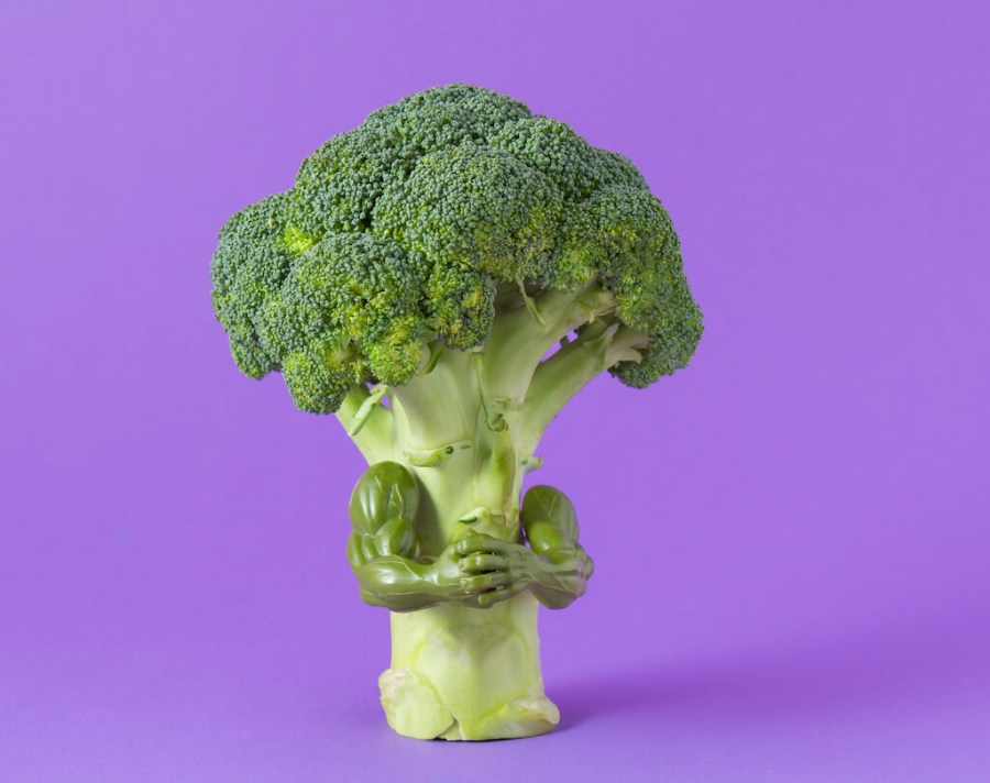 Illustration of broccoli with muscular arms demonstrating how to build muscle on a plant-based diet