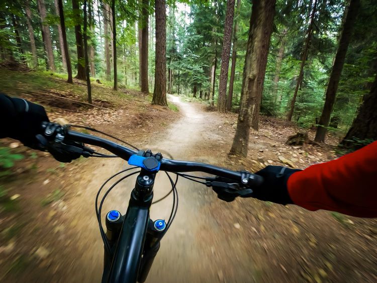 Handlebar view or a mountain bike rider riding through a forest