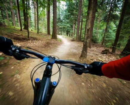 Handlebar view or a mountain bike rider riding through a forest