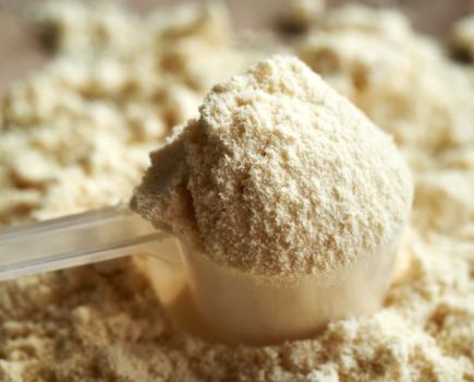 Close-up of a scoop of protein powder